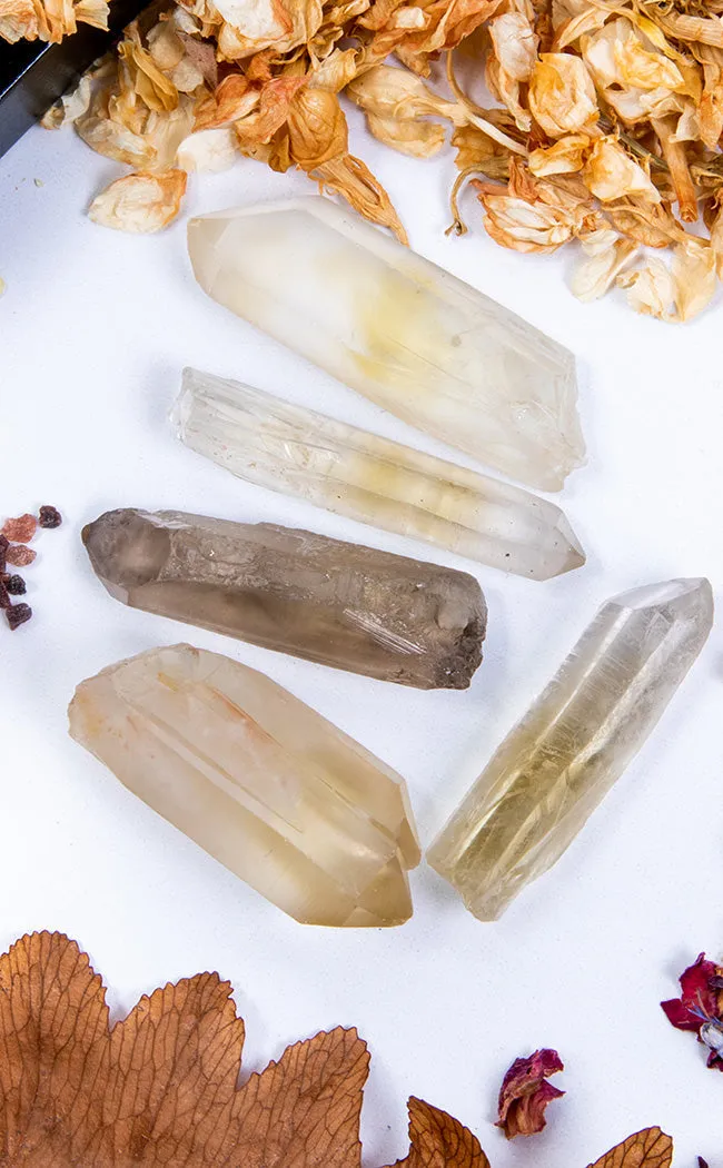 Citrine Natural Crystal Points Minis x 5