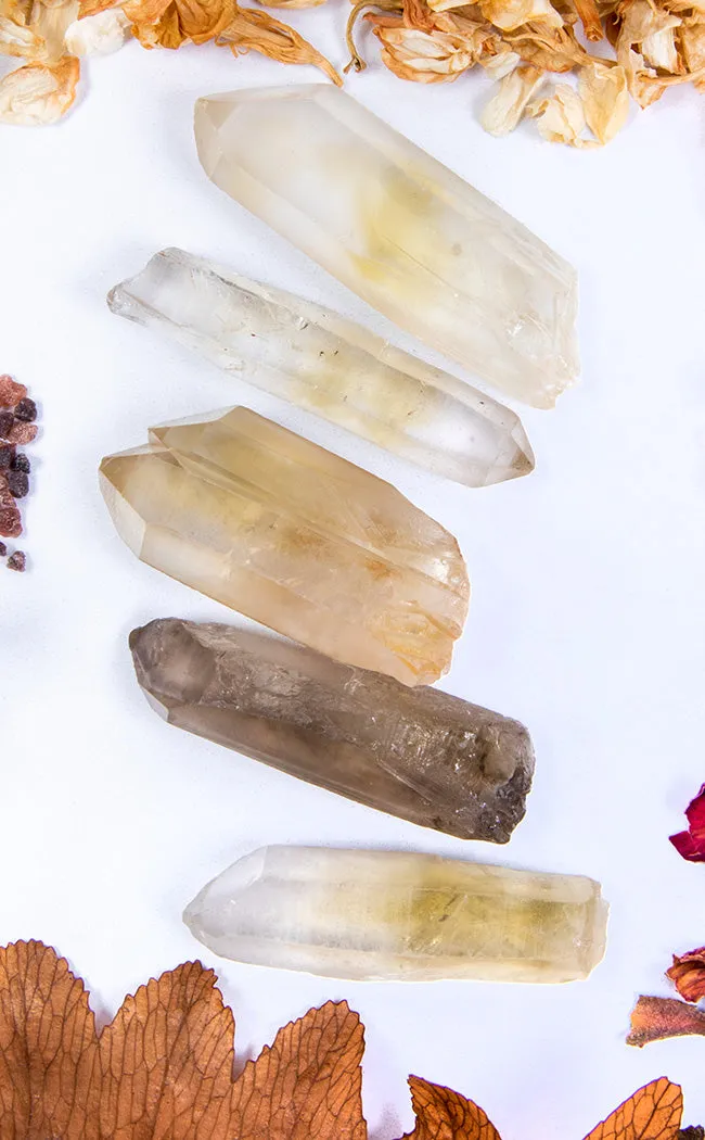 Citrine Natural Crystal Points Minis x 5