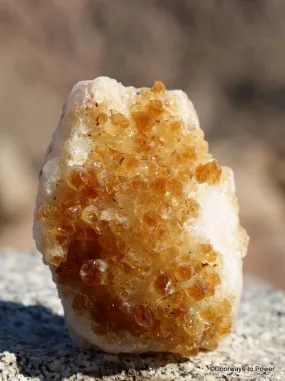 Citrine Quartz Cluster