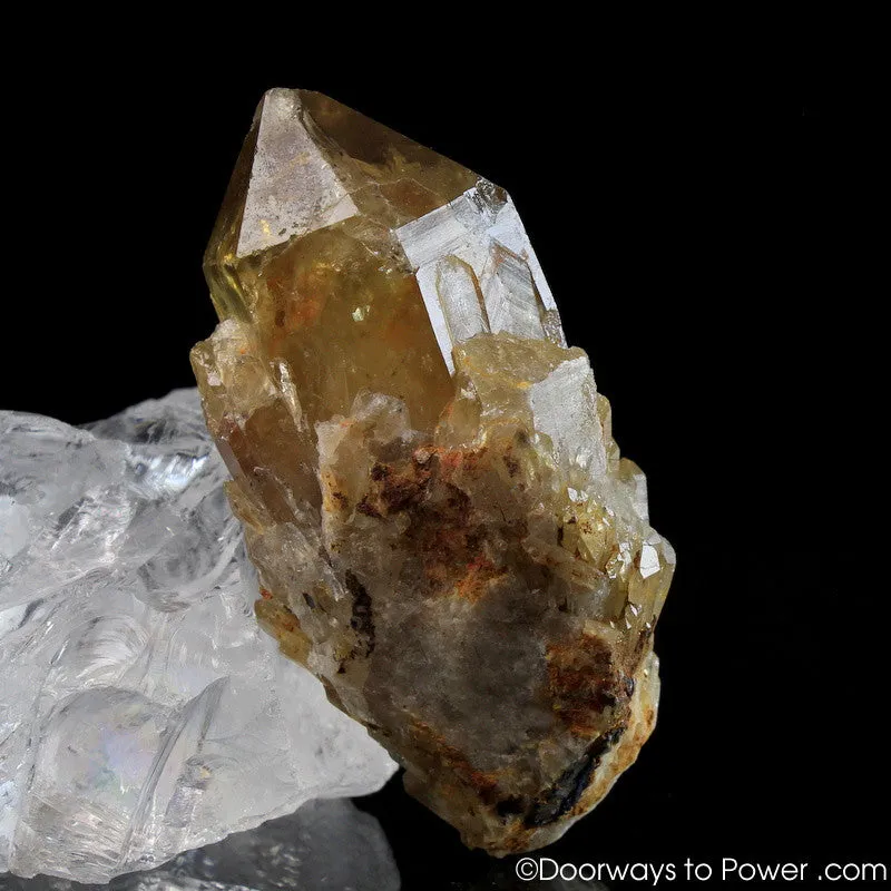 Natural Citrine Lightbrary Kundalini Quartz Channeling Crystal